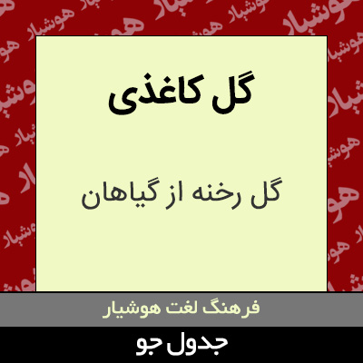 تصویری از گل کاغذی