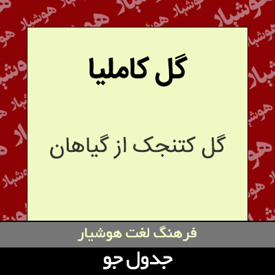 تصویری از گل کاملیا