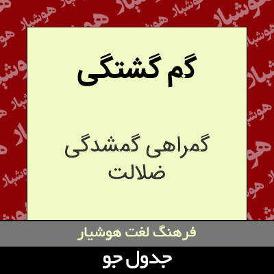 تصویری از گم گشتگی