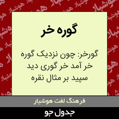 تصویری از گوره خر