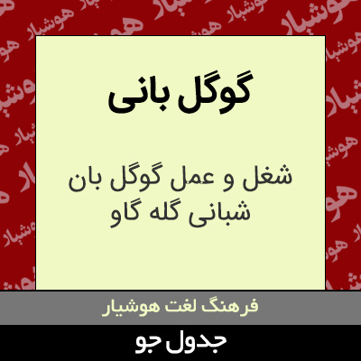 تصویری از گوگل بانی