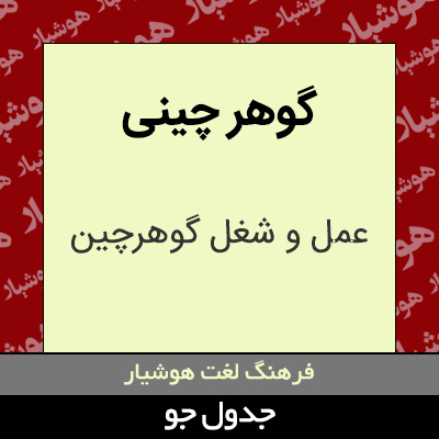 تصویری از گوهر چینی