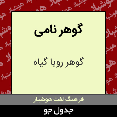 تصویری از گوهر نامی