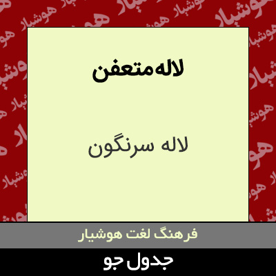 تصویری از لاله متعفن