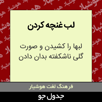 تصویری از لب غنچه کردن