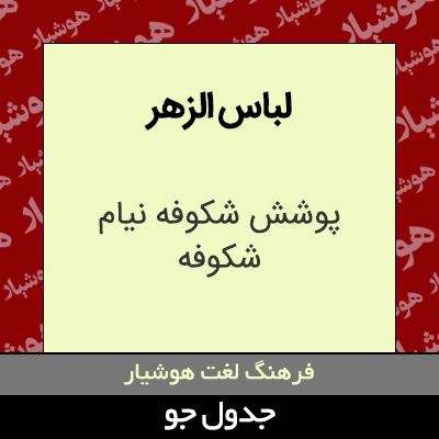 تصویری از لباس الزهر