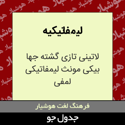 تصویری از لیمفاتیکیه