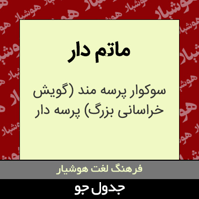 تصویری از ماتم دار