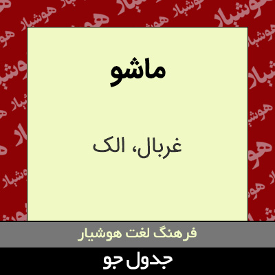 تصویری از ماشو