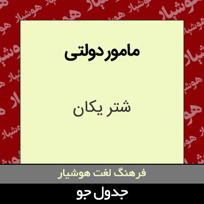 تصویری از مامور دولتی