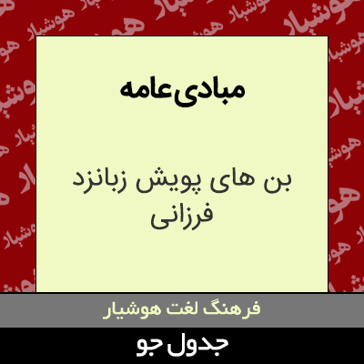 تصویری از مبادی عامه