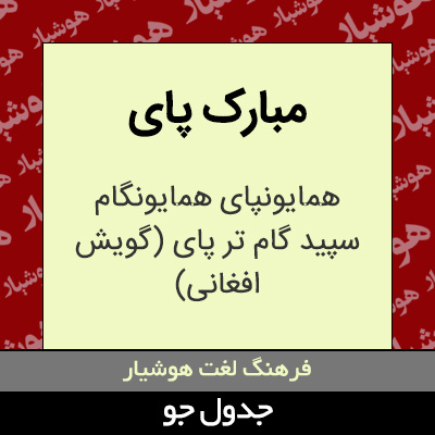 تصویری از مبارک پای