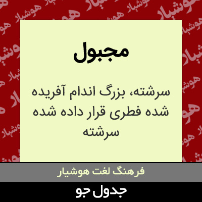 تصویری از مجبول