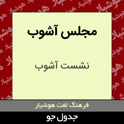 تصویری از مجلس آشوب