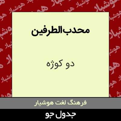 تصویری از محدب الطرفین