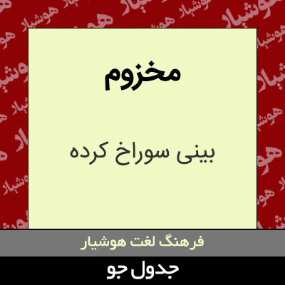 تصویری از مخزوم