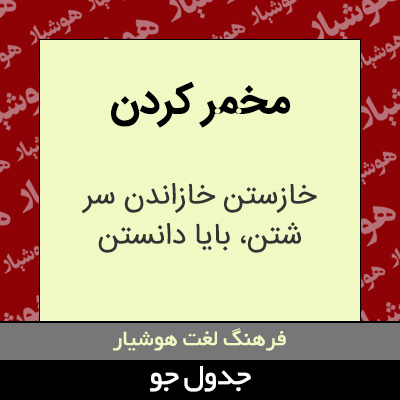 تصویری از مخمر کردن