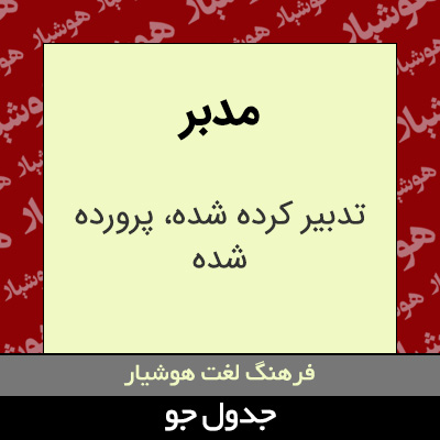 تصویری از مدبر