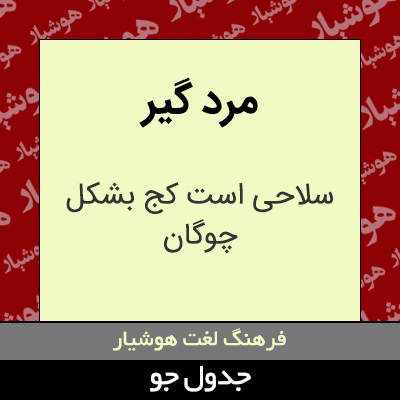 تصویری از مرد گیر