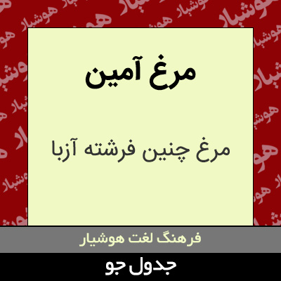 تصویری از مرغ آمین