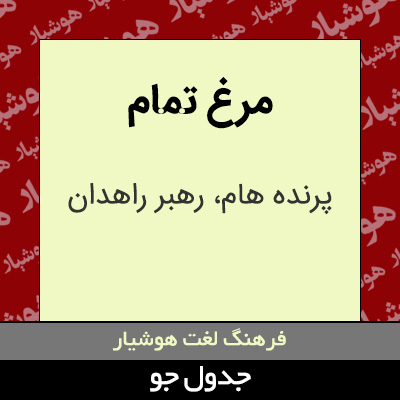 تصویری از مرغ تمام