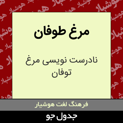 تصویری از مرغ طوفان