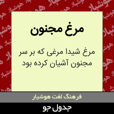 تصویری از مرغ مجنون