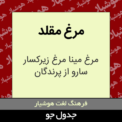 تصویری از مرغ مقلد