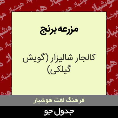 تصویری از مزرعه برنج