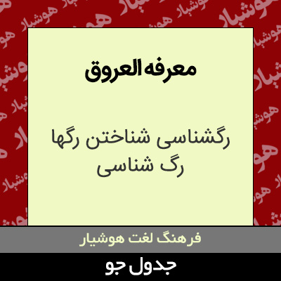 تصویری از معرفه العروق