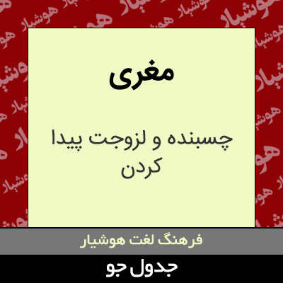 تصویری از مغری