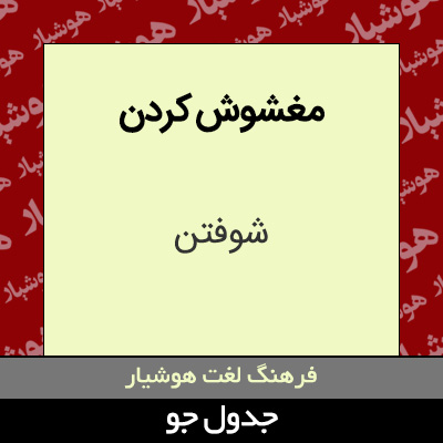 تصویری از مغشوش کردن