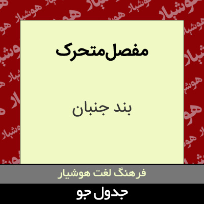 تصویری از مفصل متحرک