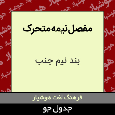 تصویری از مفصل نیمه متحرک