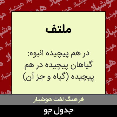 تصویری از ملتف