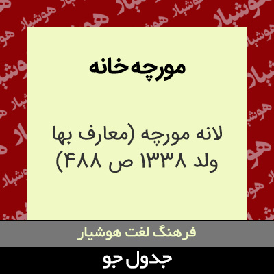 تصویری از مورچه خانه