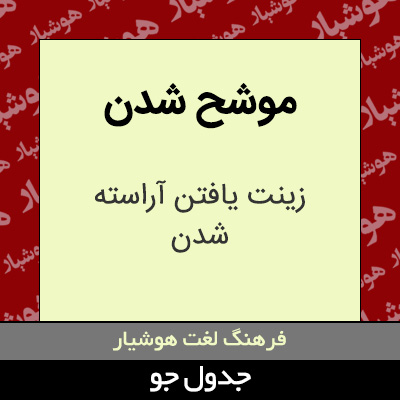 تصویری از موشح شدن