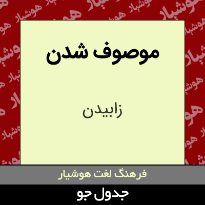 تصویری از موصوف شدن