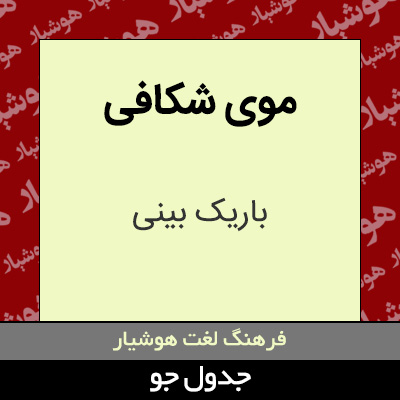 تصویری از موی شکافی