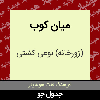 تصویری از میان کوب