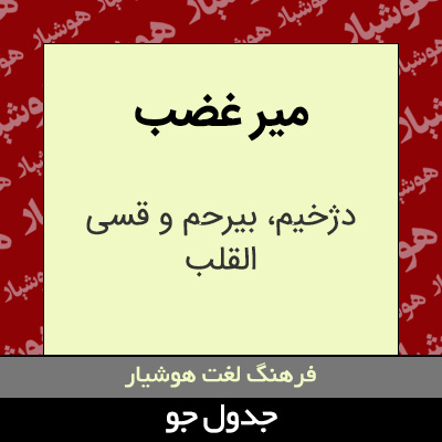 تصویری از میر غضب