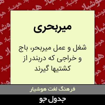 تصویری از میربحری