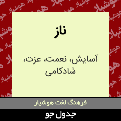 تصویری از ناز