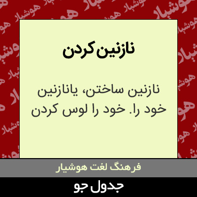 تصویری از نازنین کردن