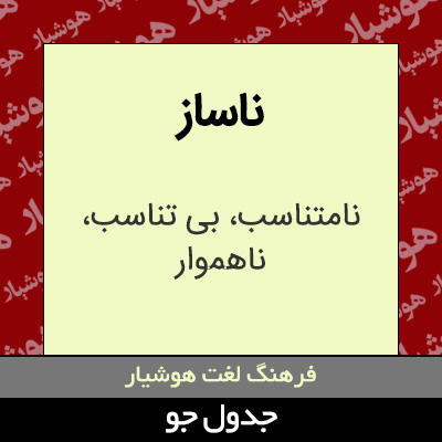 تصویری از ناساز