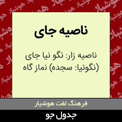 تصویری از ناصیه جای