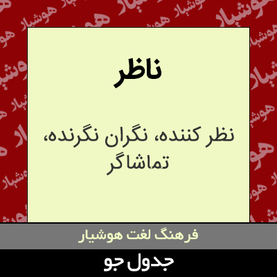 تصویری از ناظر