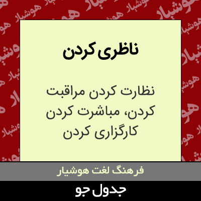 تصویری از ناظری کردن