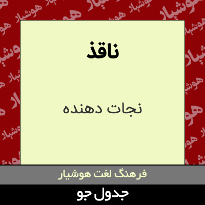 تصویری از ناقذ