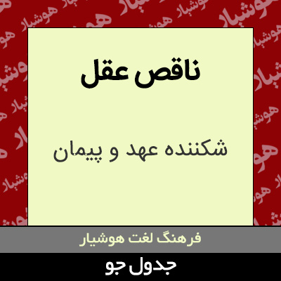 تصویری از ناقص عقل